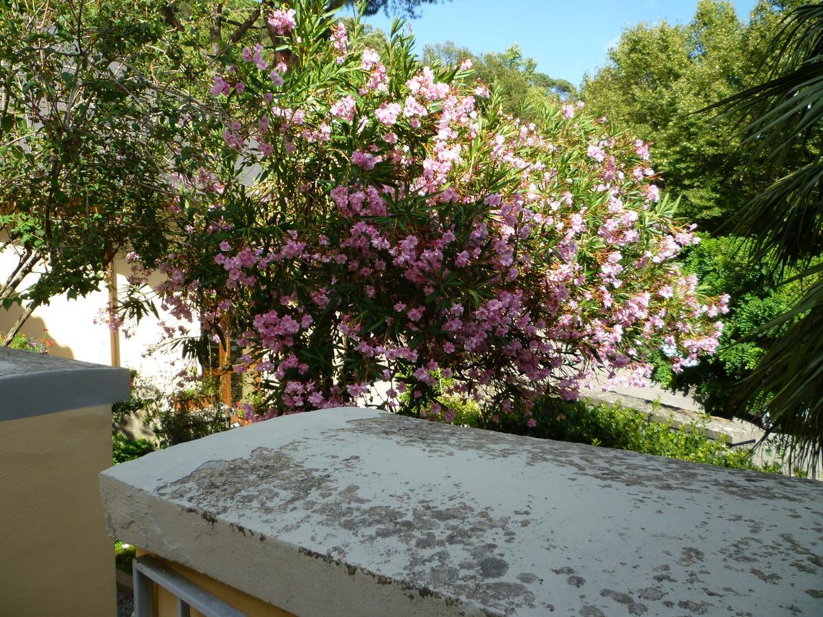 Villa Santa Margherita - B&B Cortona Exteriér fotografie